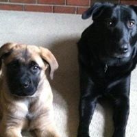 Kristina Welch Photo 14