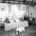 Helen Young Photo 35