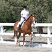 Trish Lawrence Photo 12