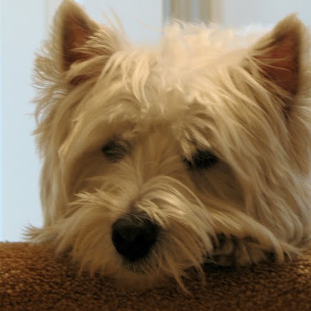 Teresa Keller Photo 23