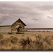 Don Swanson Photo 11