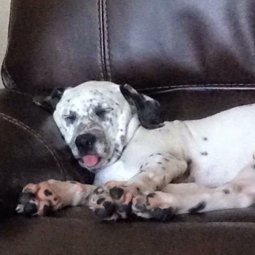 Julie Larsen Photo 17