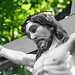 Anne Cross Photo 20