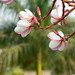 Carmen Sharp Photo 24
