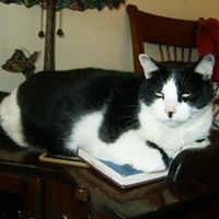 Donna Nolan Photo 31