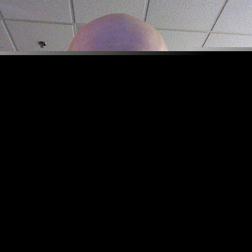 Peter Rowen Photo 10