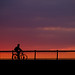 David Schiff Photo 21