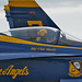 Angel Harris Photo 24