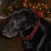 Linda Larue Photo 19