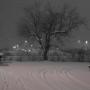 Jeff Robbins Photo 47