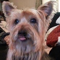 Terri Lambert Photo 12