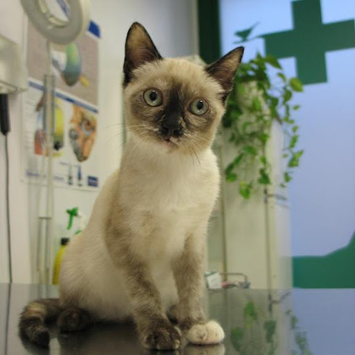 Rachel Coyle Photo 15