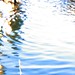 Larry Todd Photo 42
