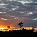 Murray Ray Photo 12