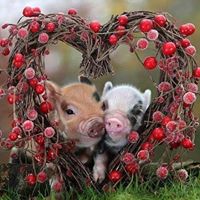 Robin Chapman Photo 20