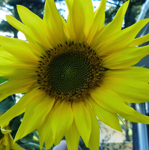 Brenda Barber Photo 15