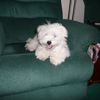 Peter Spicer Photo 23