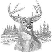 Mark Benoit Photo 29