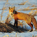 Michael Hooks Photo 6