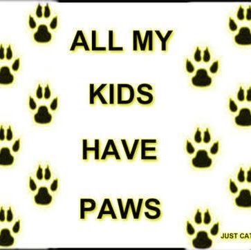 Karen Gilbert Photo 9 Karen Gilbert Photo 9