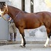 Emilio Angulo Photo 16