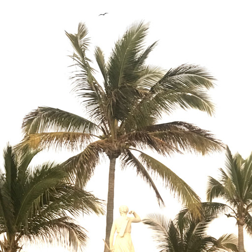 Andrew Schmidt Photo 39 Andrew Schmidt Photo 39