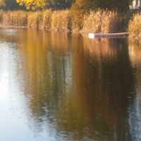 Peter Manson Photo 17