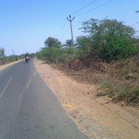 Rick Rhodes Photo 33