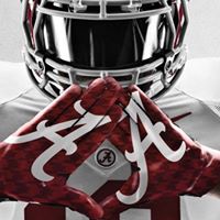 Stephen Tripp Photo 24