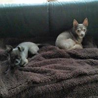 Cindy Phillips Photo 17