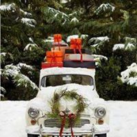 Candace Harding Photo 11