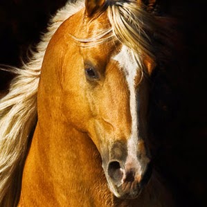 Alyssa Mayfield Photo 5