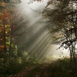 Elizabeth Burks Photo 41