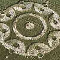 Cynthia Shelton Photo 35