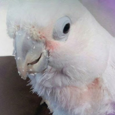 Marilyn Weber Photo 5