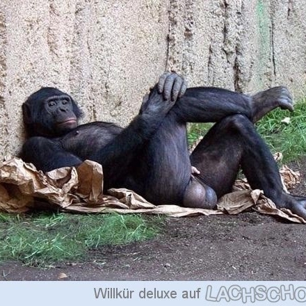 Gerald Fischer Photo 13