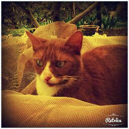 Christine Vera Photo 6