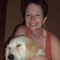 Lisa Wilkinson Photo 36 Lisa Wilkinson Photo 36