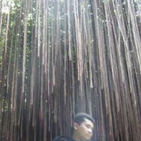 Stephen Reyes Photo 8