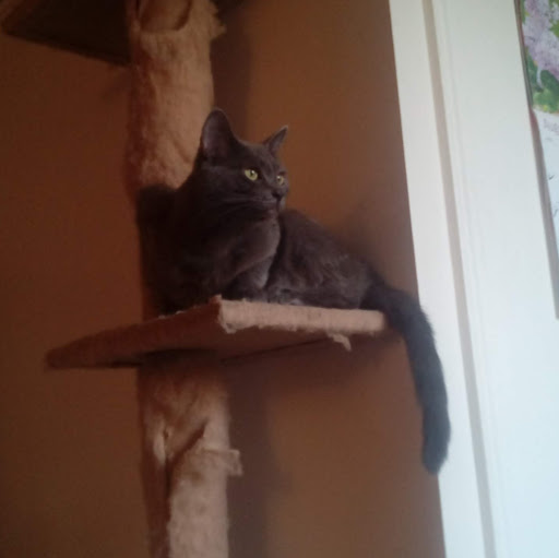 Christina Magee Photo 12