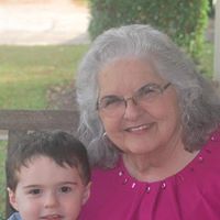 Judi Jenkins Photo 15