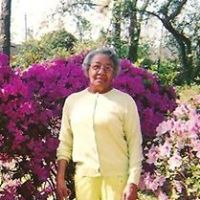 Willie Joubert Photo 8