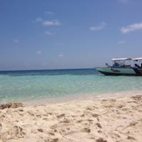 Anne Slattery Photo 20