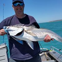 Andrew Singleton Photo 15