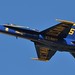 Douglas Dobbins Photo 23