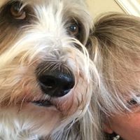 Laura Schrock Photo 10