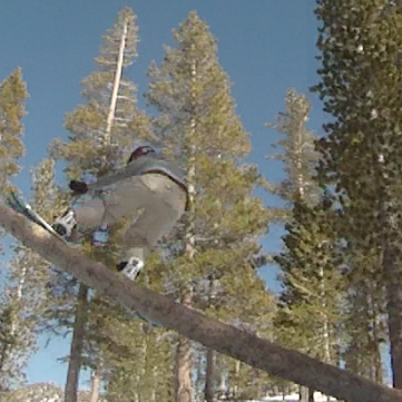 Michael Paradiso Photo 14