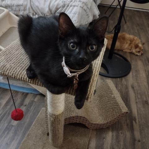 Michele Farmer Photo 7