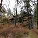 John Shields Photo 53