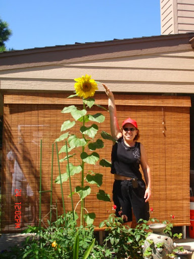 Susan Scott Photo 31